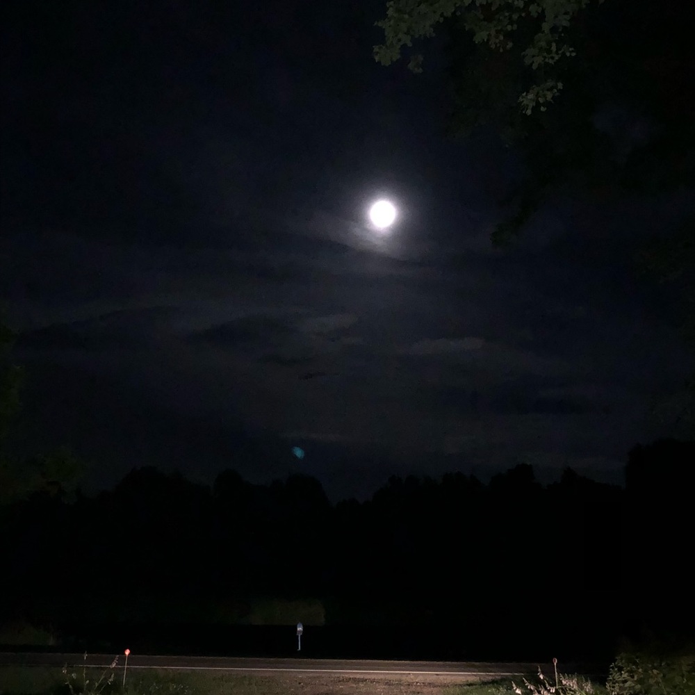 Meet your Posher, Jerlean